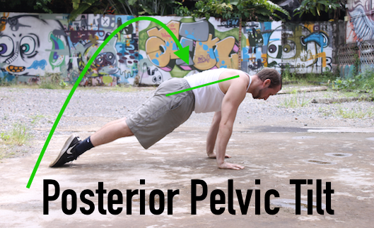 Posterior Pelvic Tilt during Pushups | How to increase pushups for Coast Guard Boot Camp